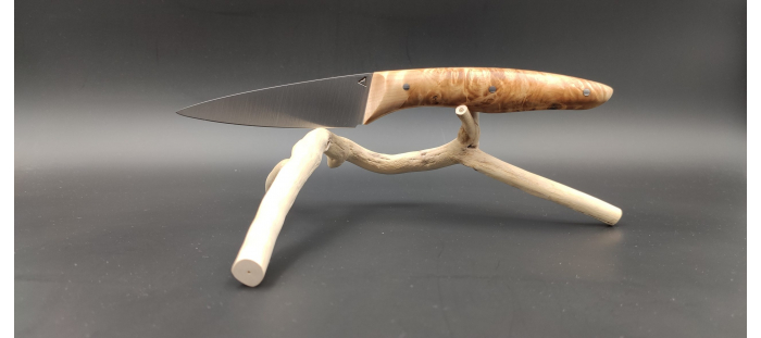 N°5 loupe de marronnier stabilisée