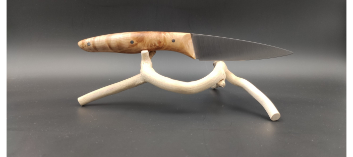 N°5 loupe de marronnier stabilisée