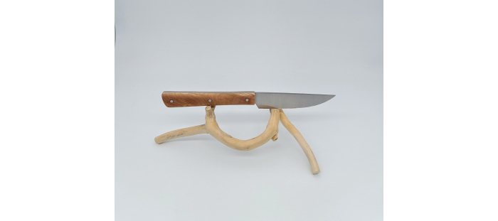N°1 Marronnier stabilisé